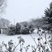 First Snowfall  by beckyk365