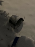 6th Jan 2024 - Snow on Bucket Again 