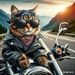 Biker Cat by robfalbo