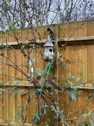 4th Jan 2024 - Lonely bird house.....