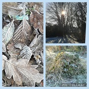 7th Jan 2024 - Sunshine and frost. 