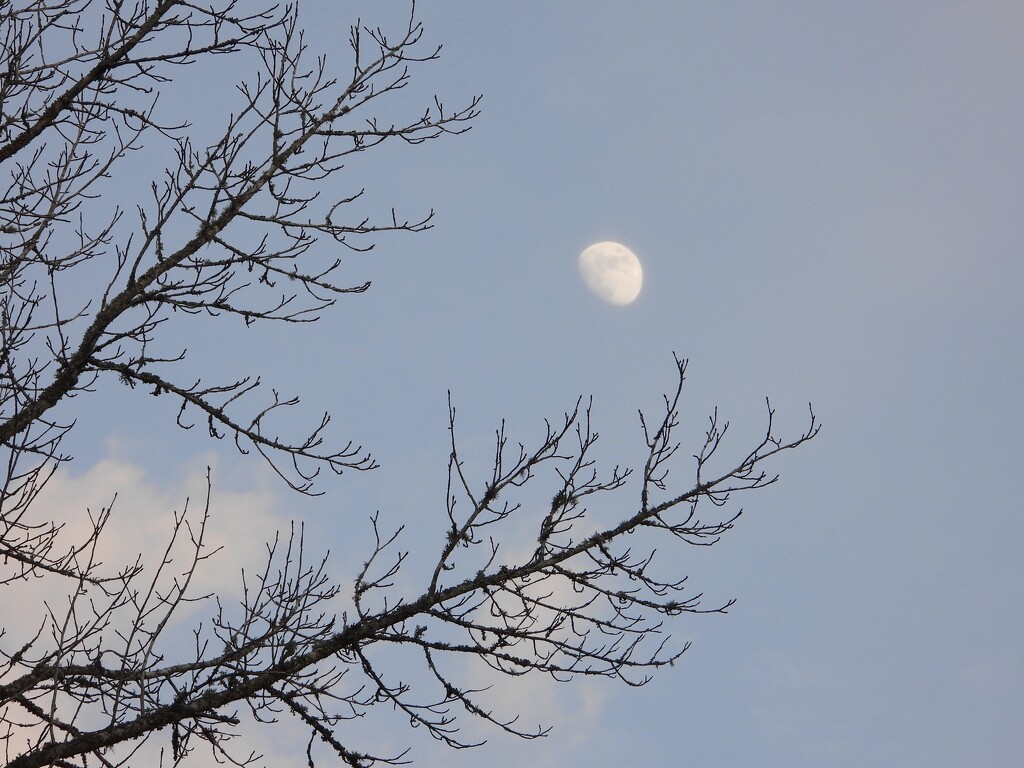 Day moon... by marlboromaam