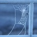 frosty web by christophercox