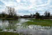 7th Jan 2024 - Flooded fields