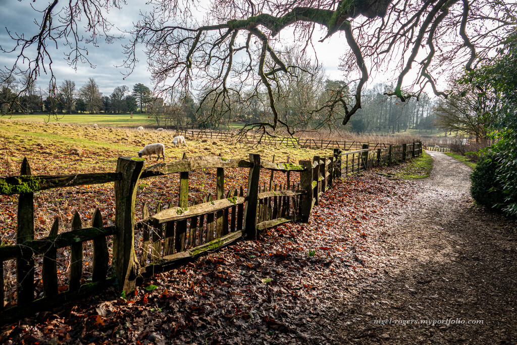 National Trust Stowe 2 by nigelrogers
