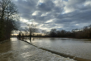 7th Jan 2024 - More from the floods