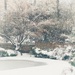 A Snowy Morning by njmom3