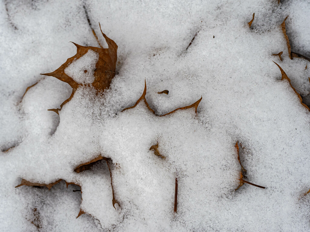 Winter patterns by haskar