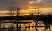 7th Jan 2024 - 7 - Sunset over the Floods, Malvern