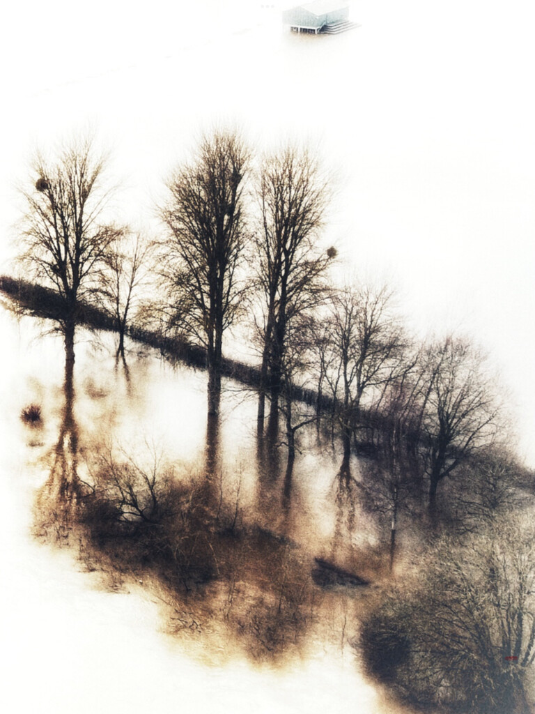Worcester Floods by photopedlar