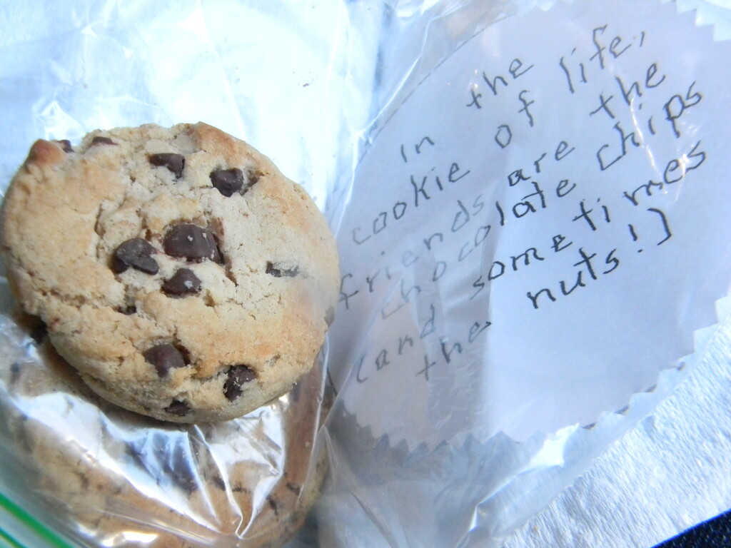 Cookie from Marsha's Goodie Bag  by sfeldphotos