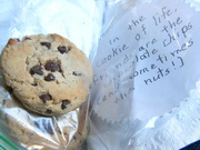 7th Jan 2024 - Cookie from Marsha's Goodie Bag 