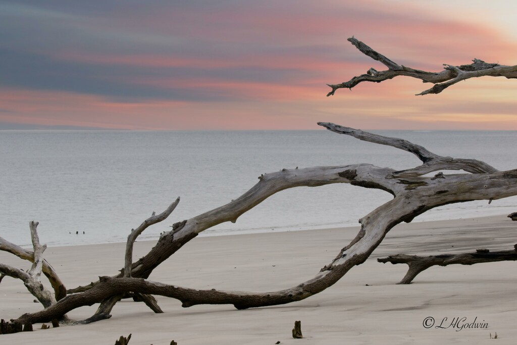 LHG_2781 Boneyard Beach sunrise by rontu