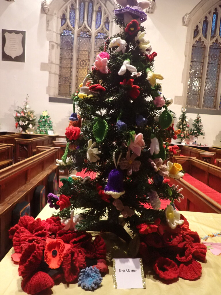 Christmas tree festival by speedwell
