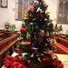 Christmas tree festival by speedwell