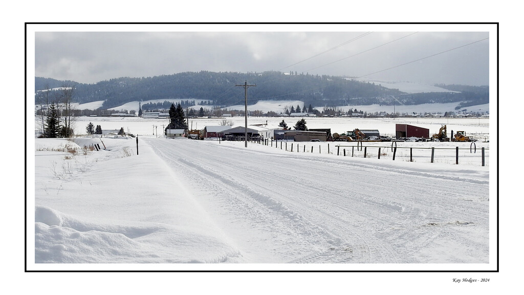 My Snowy Road by kbird61