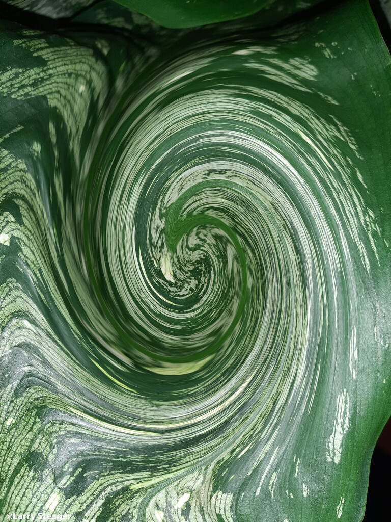 artistic twirl by larrysphotos