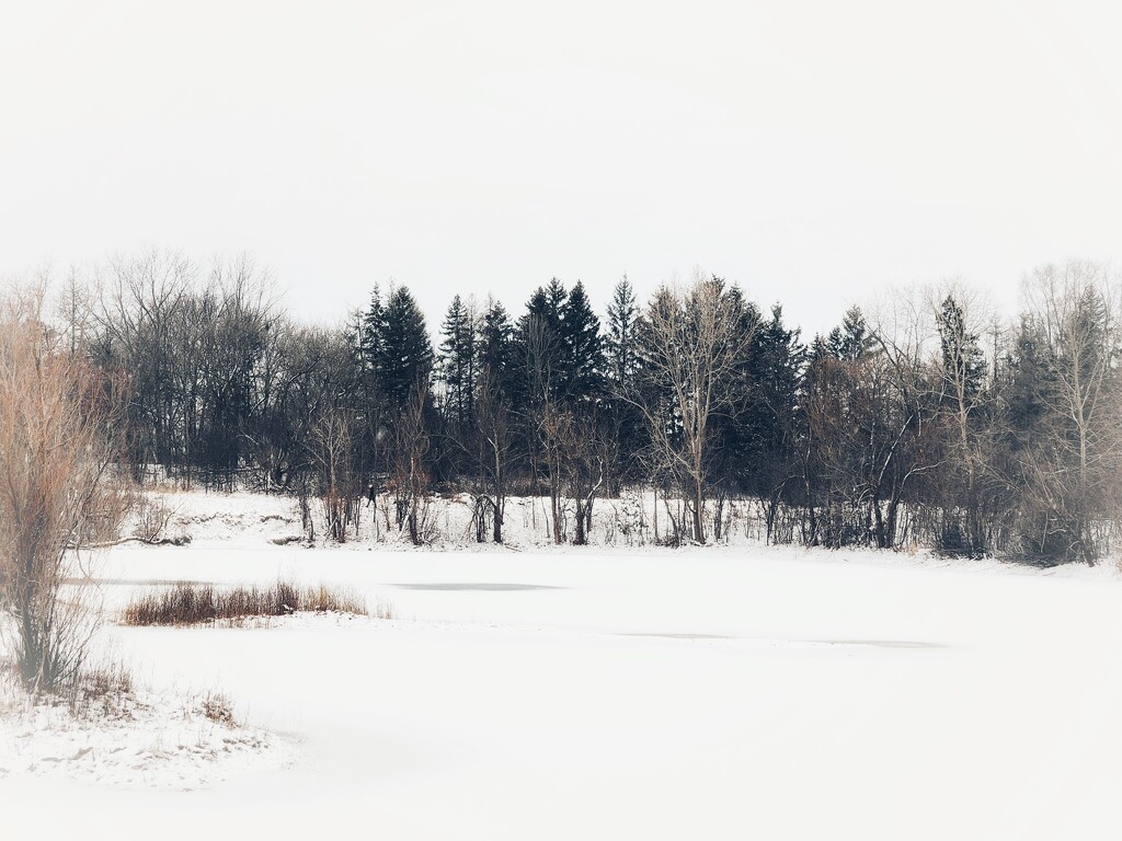 Winter pond by ljmanning