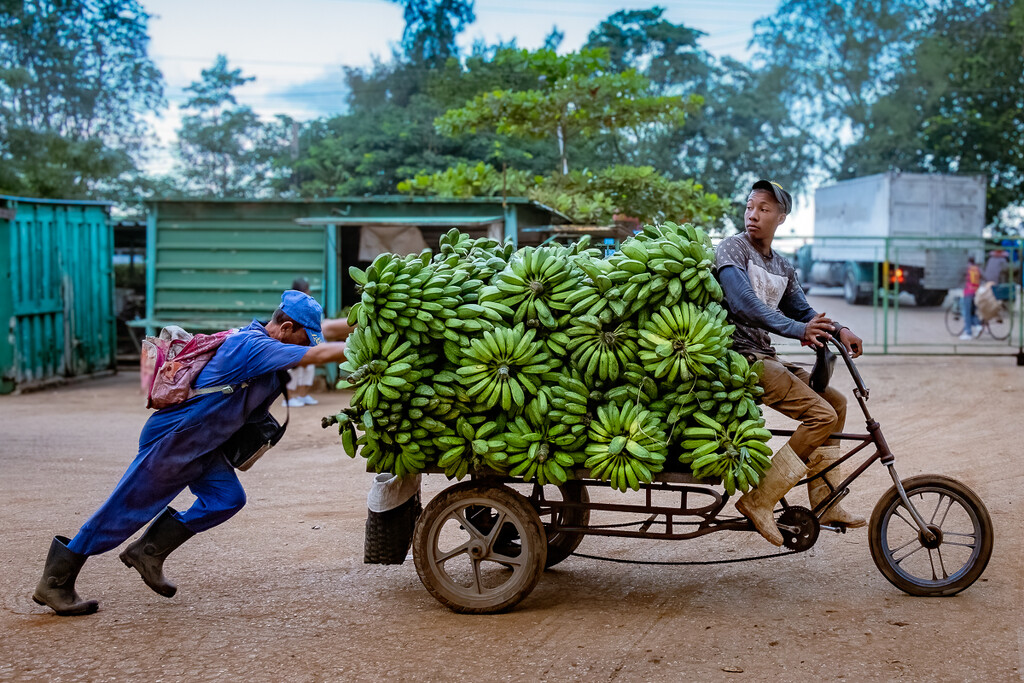 Moving Bananas from Truck to Market Stall by jyokota