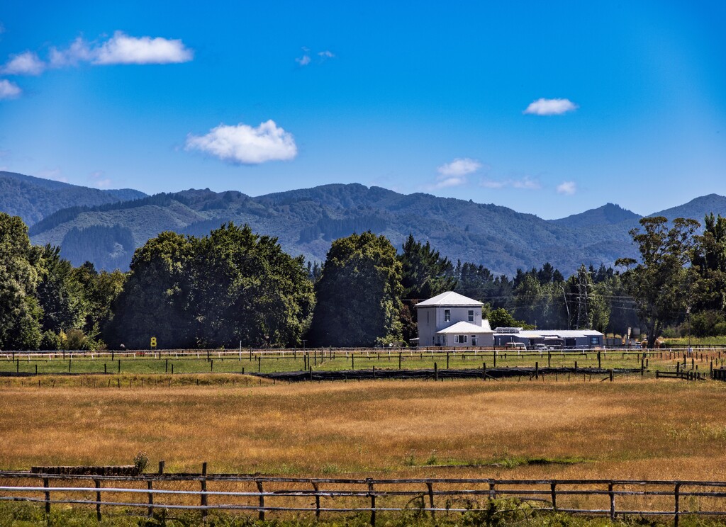 Rural New Zealand by suez1e