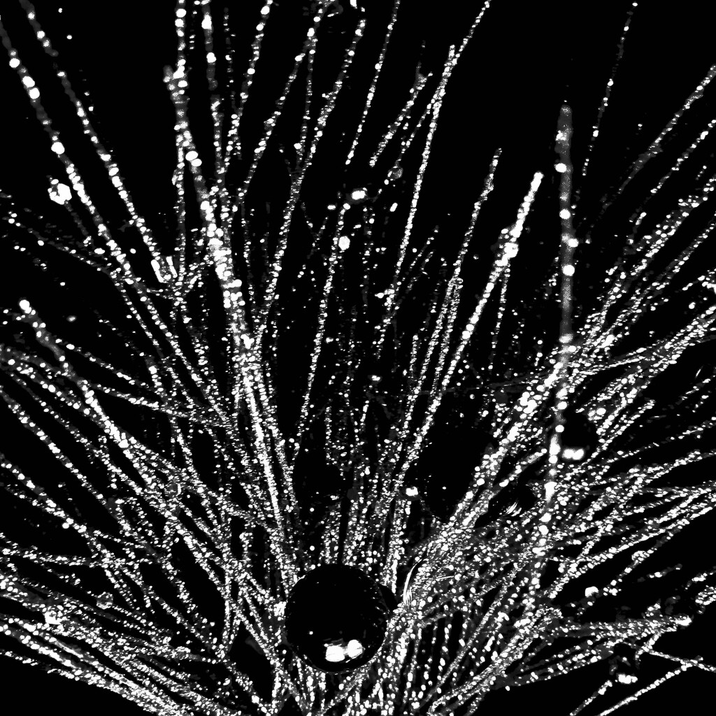 Sparks from an Atom by rickaubin