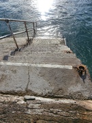 8th Jan 2024 - Harbour steps.........