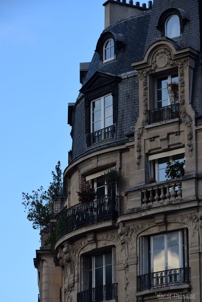 festive window by parisouailleurs