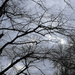 Winter sky by tiaj1402