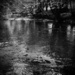 River Teign by sjc88