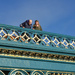 Looking over the parapet by phil_howcroft