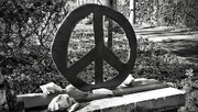 8th Jan 2024 - Peace