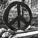 Peace by jgcapizzi