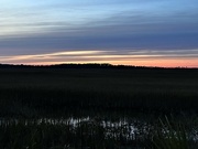 9th Jan 2024 - Marsh sunset
