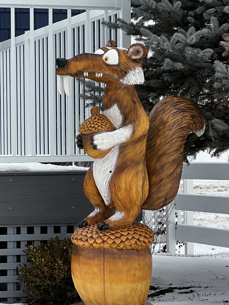 Giant Squirrel  by radiogirl