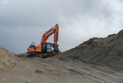 9th Jan 2024 - Clearing the Dune Grass 