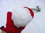 1st Feb 2011 - Snowball, Not Snowman