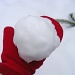 Snowball, Not Snowman by lauriehiggins