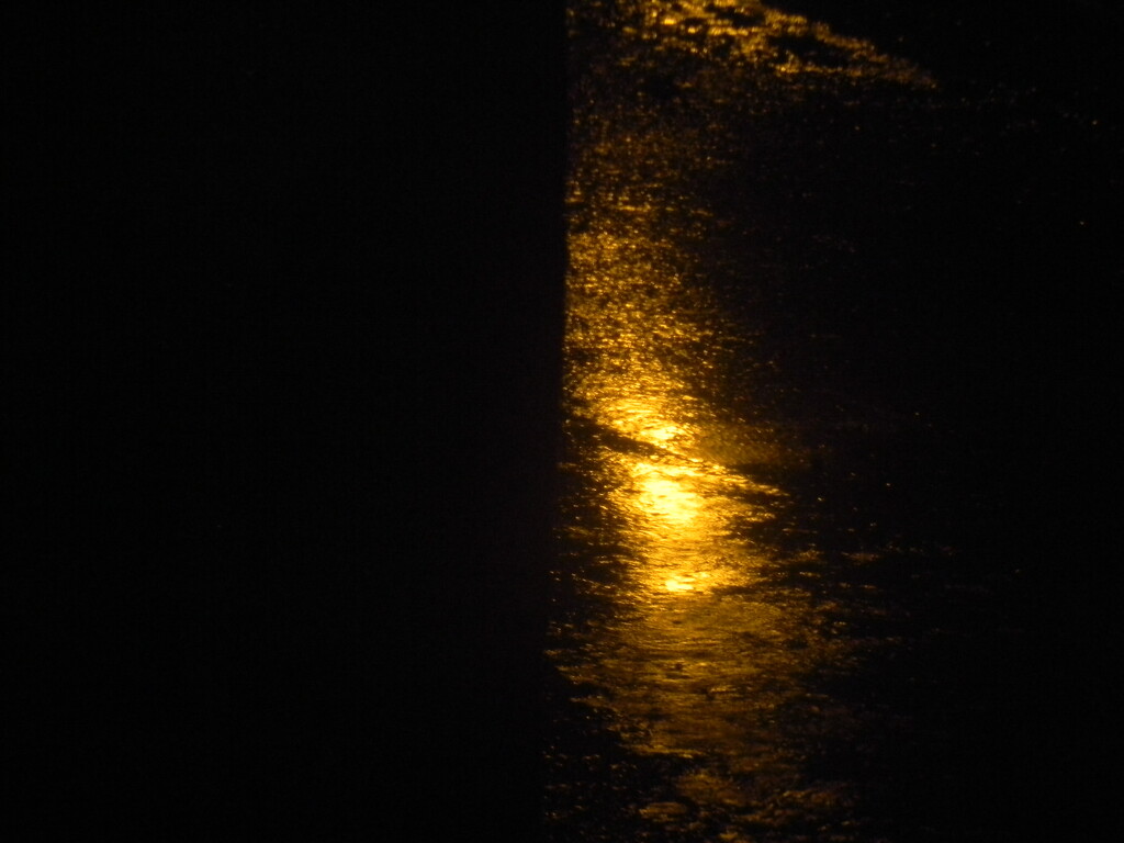 Reflection of Light on Rain 1.9 by sfeldphotos