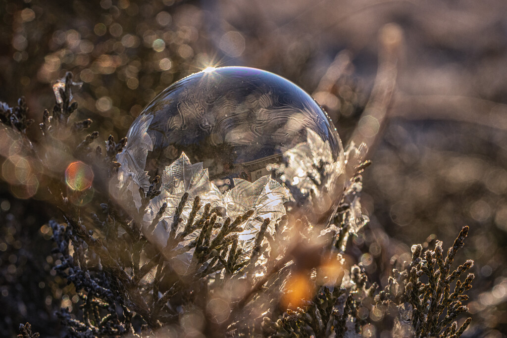 bubble morning by aecasey
