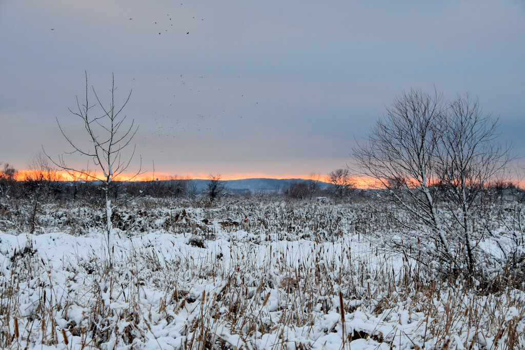 Winter Sunset 1-9-24 by kareenking