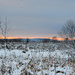 Winter Sunset 1-9-24 by kareenking