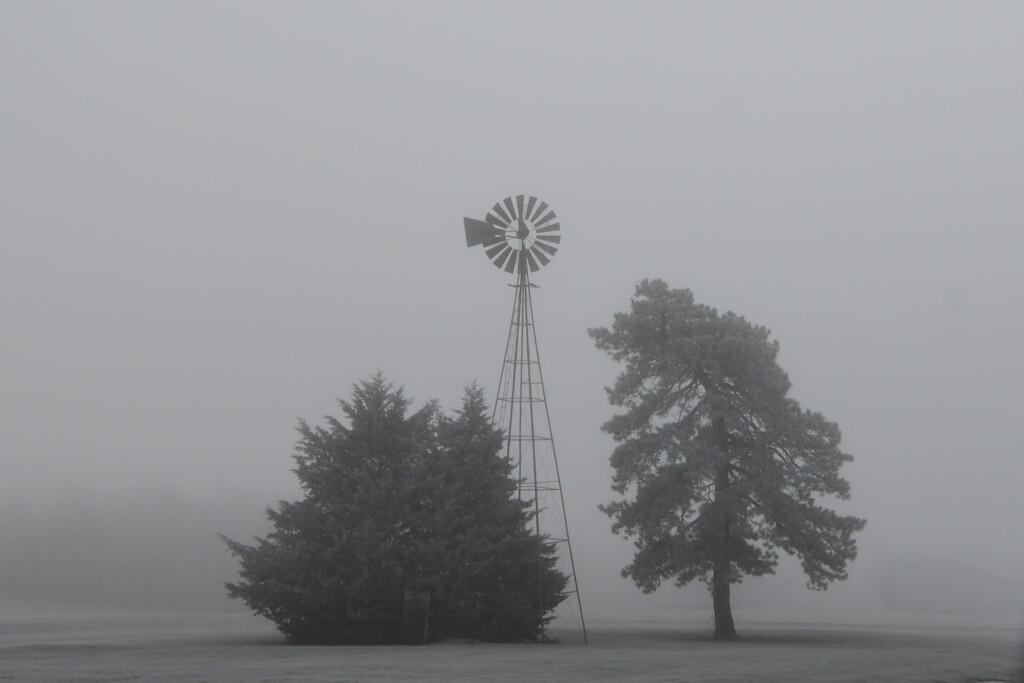 Windmill in the Fog by kareenking