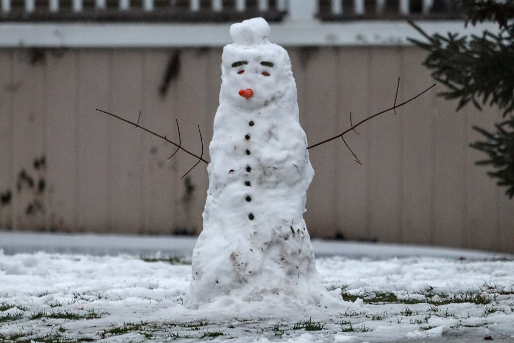 Snowman by princessicajessica