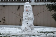9th Jan 2024 - Snowman