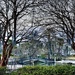 Winter at Hampton Park — a classic scene. by congaree