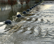 10th Jan 2024 - Flood receding