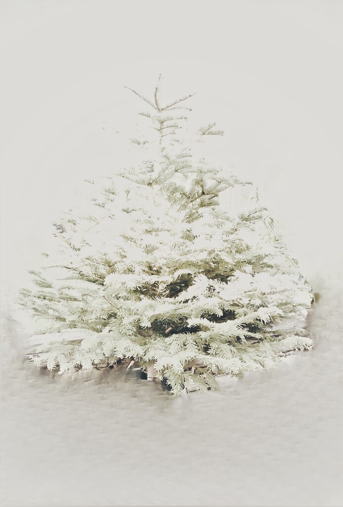 Christmas tree by wakelys