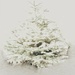 Christmas tree by wakelys
