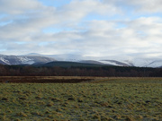 10th Jan 2024 - Towards the Feshie Hills