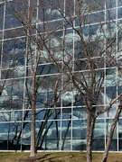 10th Jan 2024 - Office Building